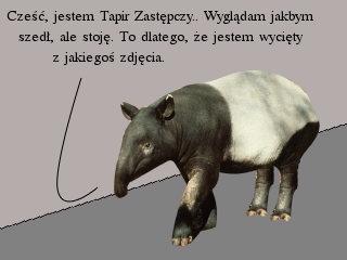 odc-053/1.png