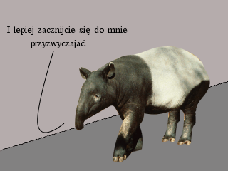 odc-053/3.png