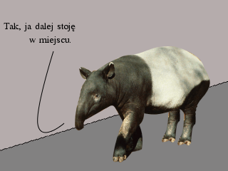 odc-053/4.png